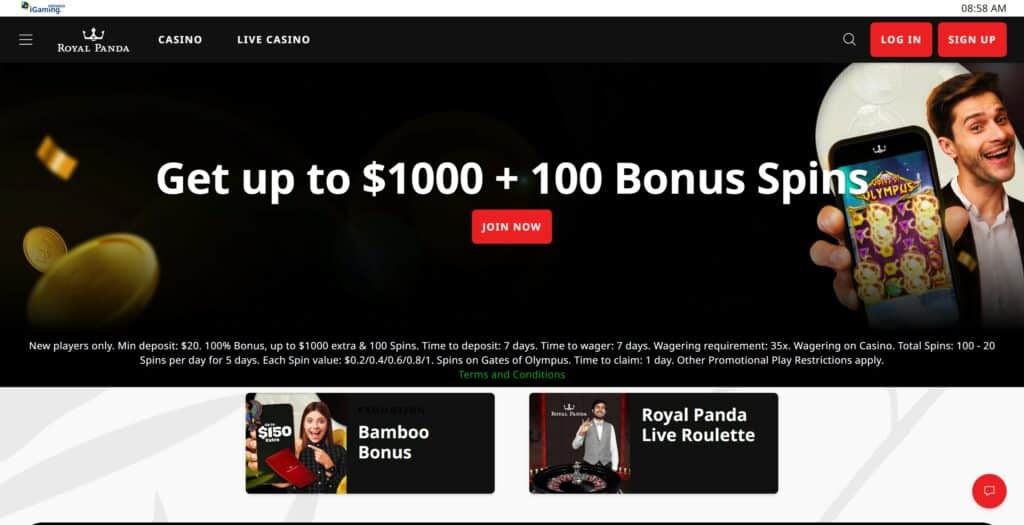 Royal Panda Roulette Online Casino